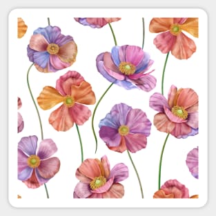 Colorful Anemone flowers. Summer watercolor flowers print Sticker